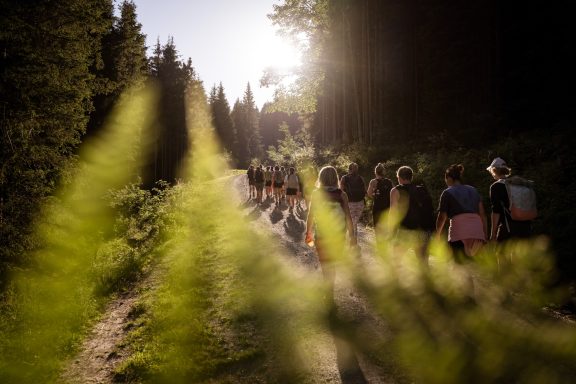 Gruppe wandert in der Natur